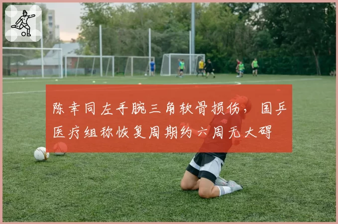 陈幸同左手腕三角软骨损伤，国乒医疗组称恢复周期约六周无大碍