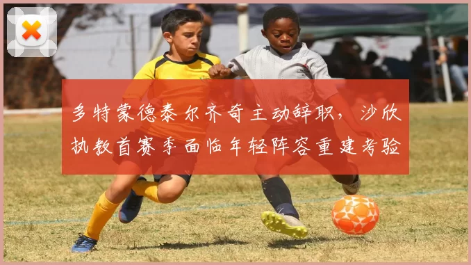 多特蒙德泰尔齐奇主动辞职，沙欣执教首赛季面临年轻阵容重建考验