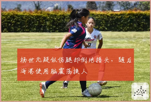 杨世元疑似伤腿却倒地捂头，随后海港使用脑震荡换人