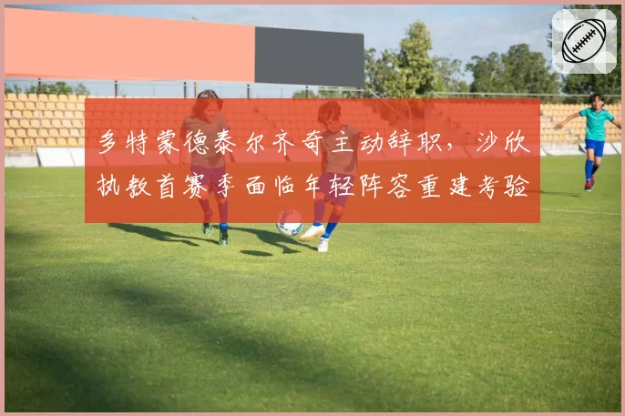 多特蒙德泰尔齐奇主动辞职，沙欣执教首赛季面临年轻阵容重建考验