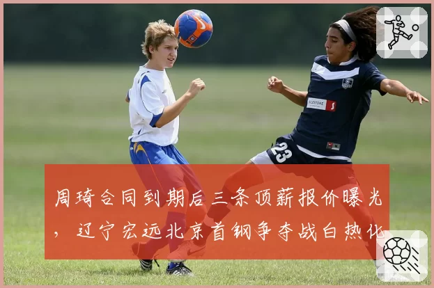 周琦合同到期后三条顶薪报价曝光，辽宁宏远北京首钢争夺战白热化