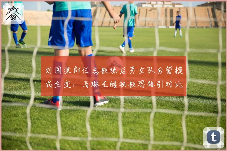 刘国梁卸任总教练后男女队分管模式生变，马琳王皓执教思路引对比争议