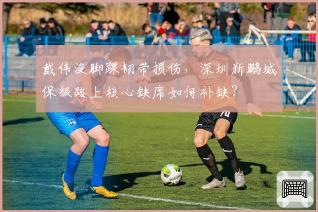 戴伟浚脚踝韧带损伤，深圳新鹏城保级路上核心缺席如何补缺？