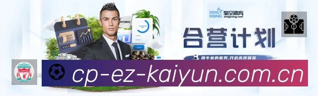 开云官网登录安全价值